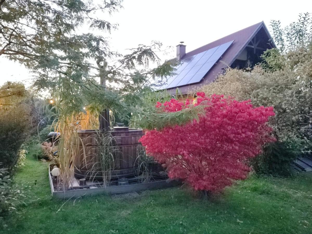 Smyrkowy Dom Z Kominkiem Z Goraca Balia Kolo Karpacza Janowice Wielkie Exterior foto